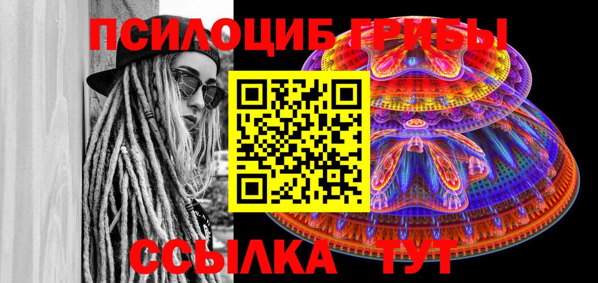 Псилоцибиновые грибы Psilocybine cubensis Елабуга