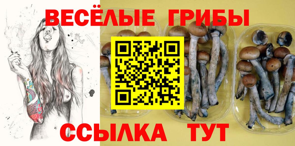 Псилоцибиновые грибы мухоморы  Вход с VPN  Елабуга 