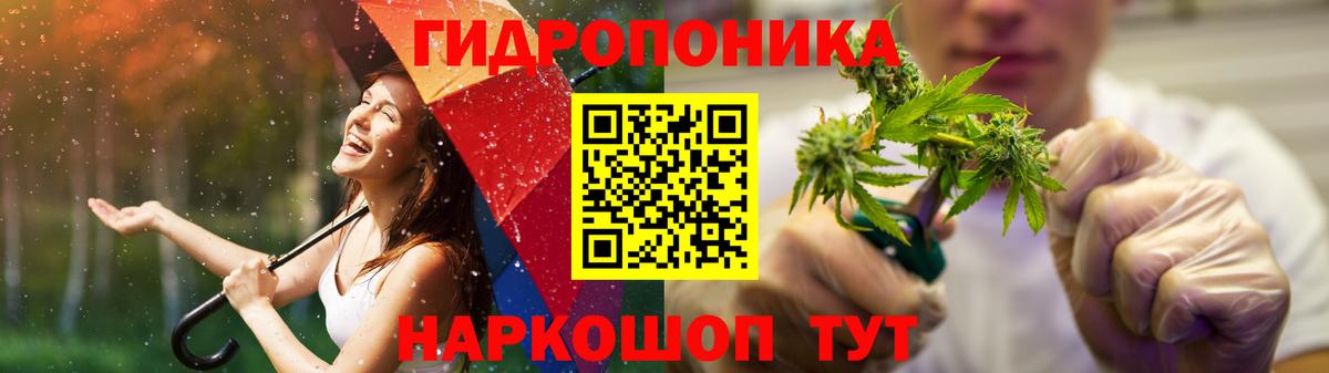 Бошки Шишки марихуана Елабуга